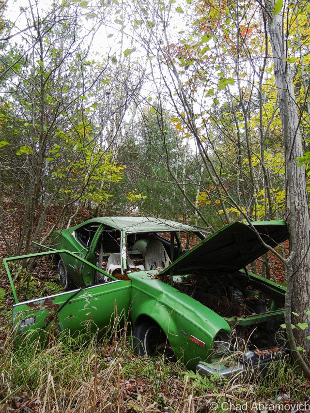 Milton – this fading green AMC Hornet lies on a steep bank behind a rural stretch of railroad tracks, on the edge of a patch of thick swampland. it looks as if someone pushed (or quite possibly drove) the car down the hill, where it lays to rest.